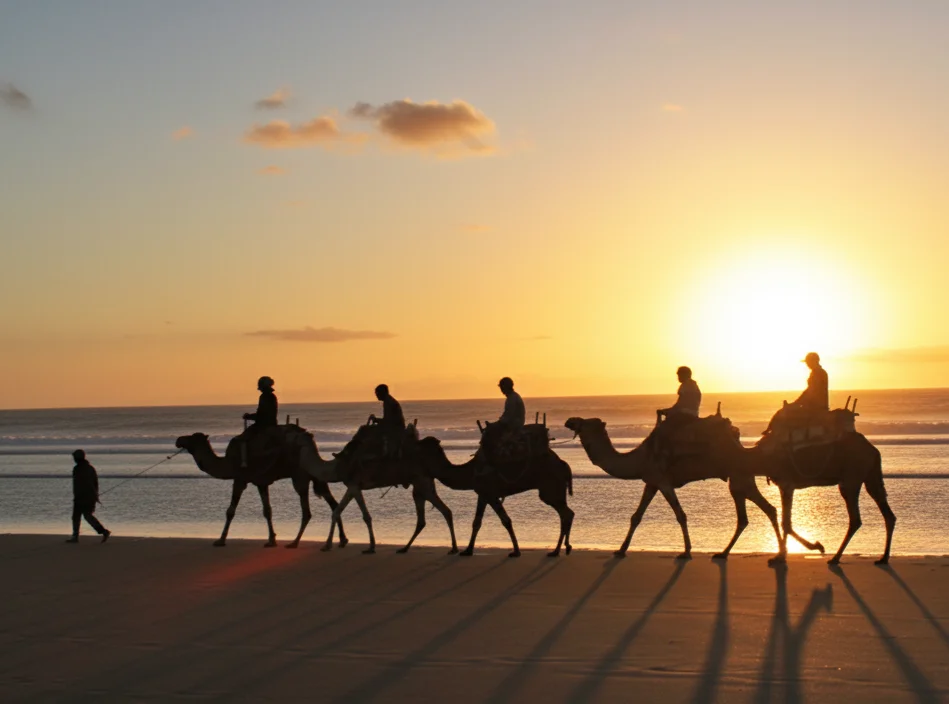 a groupe riding amel in the beach